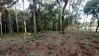 Foto 18 de Fazenda/Sítio à venda, 10680m² em Campestre da Faxina, São José dos Pinhais