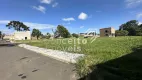 Foto 6 de Lote/Terreno à venda, 260m² em Jardim Carvalho, Ponta Grossa