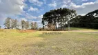 Foto 9 de Lote/Terreno à venda, 2976m² em Orleans, Curitiba