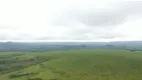 Foto 8 de Fazenda/Sítio à venda, 1900m² em Centro, Campos Lindos