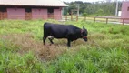 Foto 3 de Lote/Terreno à venda, 450m² em Zona Rural, São Cristóvão