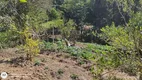 Foto 10 de Fazenda/Sítio com 6 Quartos à venda, 260m² em Botujuru, Campo Limpo Paulista