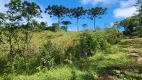 Foto 53 de Fazenda/Sítio com 5 Quartos à venda, 435600m² em Campo Alto, Tijucas do Sul