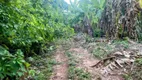 Foto 26 de Fazenda/Sítio com 2 Quartos à venda, 11m² em Zona Rural, Colinas do Sul