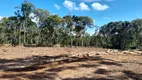 Foto 3 de Fazenda/Sítio à venda, 196000m² em Centro, Campo do Tenente