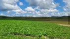 Foto 13 de Fazenda/Sítio à venda, 45000m² em Centro, São Francisco de Paula