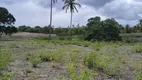 Foto 4 de Fazenda/Sítio com 3 Quartos à venda, 150000m² em Centro, São Gonçalo do Amarante