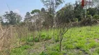 Foto 36 de Lote/Terreno à venda, 15000m² em Taboão, São Roque