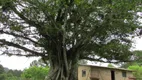 Foto 17 de Fazenda/Sítio com 3 Quartos à venda, 30000m² em Lageado, Porto Alegre