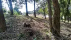 Foto 6 de Lote/Terreno à venda, 2001m² em Jardim das Palmeiras, Campo Largo