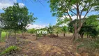 Foto 32 de Fazenda/Sítio com 3 Quartos à venda, 200m² em , Bela Vista de Goiás