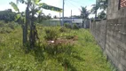 Foto 4 de Lote/Terreno à venda, 260m² em Jardim Palmeiras, Itanhaém