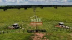 Foto 2 de Fazenda/Sítio à venda, 3538m² em Zona Rural, São Miguel do Araguaia