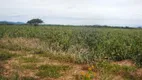 Foto 19 de Fazenda/Sítio com 3 Quartos à venda, 320000m² em Zona Rural, São Paulo do Potengi