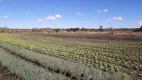 Foto 16 de Fazenda/Sítio à venda, 53000m² em Nucleo Rural Vargem Bonita, Brasília