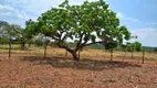 Foto 9 de Fazenda/Sítio com 4 Quartos à venda, 20000m² em Ponte Alta Norte, Brasília