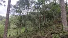 Foto 17 de Fazenda/Sítio à venda, 54700m² em Zona Rural, Marmelópolis