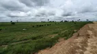 Foto 2 de Fazenda/Sítio à venda, 170000000m² em Setor Central, Santa Fé do Araguaia