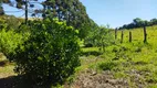 Foto 33 de Fazenda/Sítio com 4 Quartos à venda, 250m² em Bateias, Campo Largo