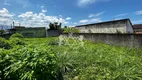 Foto 3 de Lote/Terreno à venda, 250m² em Morro Do Algodao, Caraguatatuba