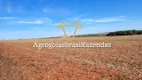 Foto 5 de Fazenda/Sítio com 1 Quarto à venda, 3388000m² em Area Rural de Goiania, Goiânia