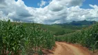 Foto 48 de Fazenda/Sítio com 2 Quartos à venda, 75m² em Zona Rural, Lambari