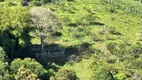 Foto 4 de Fazenda/Sítio à venda, 130000m² em Zona Rural, Delfim Moreira