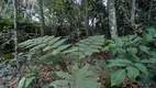 Foto 7 de Fazenda/Sítio à venda, 20000m² em Zona Rural, Aragoiânia