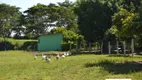 Foto 4 de Fazenda/Sítio à venda, 200m² em Centro, Reginópolis