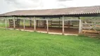 Foto 67 de Fazenda/Sítio com 3 Quartos à venda, 1340000m² em Area Rural de Ceilandia, Brasília