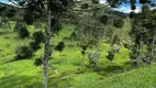 Foto 18 de Fazenda/Sítio à venda, 700000m² em Zona Rural, Urubici