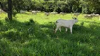 Foto 5 de Fazenda/Sítio com 3 Quartos à venda, 200m² em Centro, Lassance