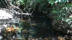 Foto 10 de Fazenda/Sítio à venda, 63m² em Zona Rural, Aparecida do Rio Negro