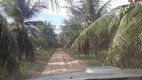 Foto 16 de Fazenda/Sítio com 3 Quartos à venda, 40000m² em Sitio Arena, São José de Mipibu