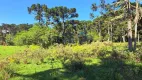 Foto 5 de Fazenda/Sítio à venda, 10000m² em , São Francisco de Paula