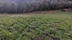 Foto 7 de Fazenda/Sítio para alugar, 5500m² em Água Branca, Francisco Beltrão