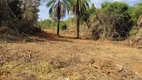 Foto 11 de Lote/Terreno à venda, 20000m² em Zona Rural, Baldim