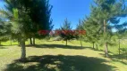 Foto 49 de Fazenda/Sítio com 3 Quartos à venda, 165m² em Planta Granjas Eldorado, Piraquara