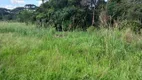 Foto 2 de Fazenda/Sítio com 1 Quarto à venda, 3800m² em Campo Largo da Roseira, São José dos Pinhais