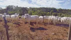 Foto 28 de Fazenda/Sítio com 3 Quartos à venda, 120m² em Zona Rural, Mirabela