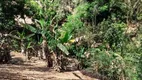 Foto 4 de Fazenda/Sítio com 3 Quartos à venda, 90m² em Canaa, Jambeiro