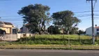 Foto 3 de Lote/Terreno para alugar, 409m² em Uberaba, Curitiba