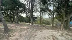 Foto 14 de Fazenda/Sítio com 3 Quartos à venda, 150m² em Canjica Terra Preta, Mairiporã