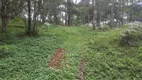 Foto 2 de Fazenda/Sítio à venda, 42000m² em Zona Rural, Paraisópolis