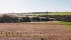 Foto 4 de Lote/Terreno à venda, 3000m² em Cascavel Velho, Cascavel