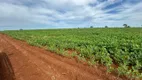 Foto 17 de Fazenda/Sítio com 2 Quartos à venda, 28m² em Área Rural de Cocalzinho Goiás, Cocalzinho de Goiás