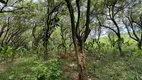 Foto 30 de Fazenda/Sítio à venda, 15000m² em Zona Rural, Ceará Mirim