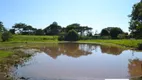 Foto 22 de Fazenda/Sítio à venda, 200m² em Centro, Reginópolis