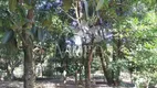 Foto 11 de Fazenda/Sítio com 2 Quartos à venda, 120m² em Jardim Acapulco, Nova Odessa
