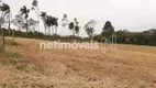 Foto 23 de Fazenda/Sítio à venda, 270000m² em Chácara Rincao, Cotia